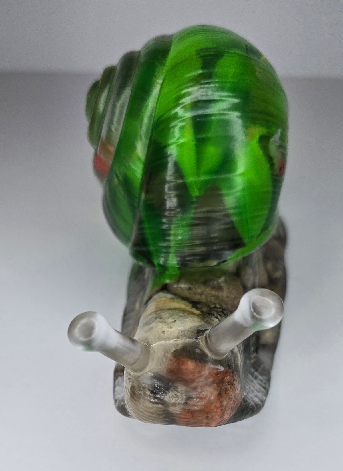 Large fish aquarium SNAIL with Michigan rocks & Petoskey stone