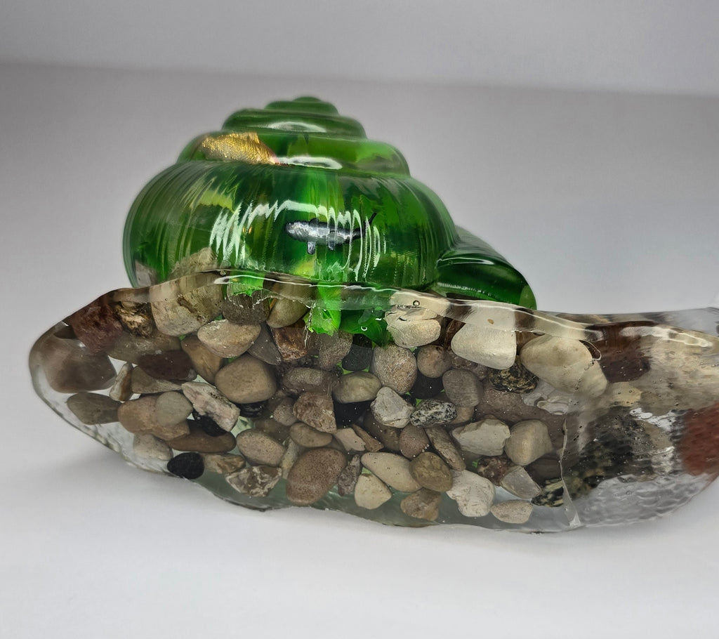 Large fish aquarium SNAIL with Michigan rocks & Petoskey stone