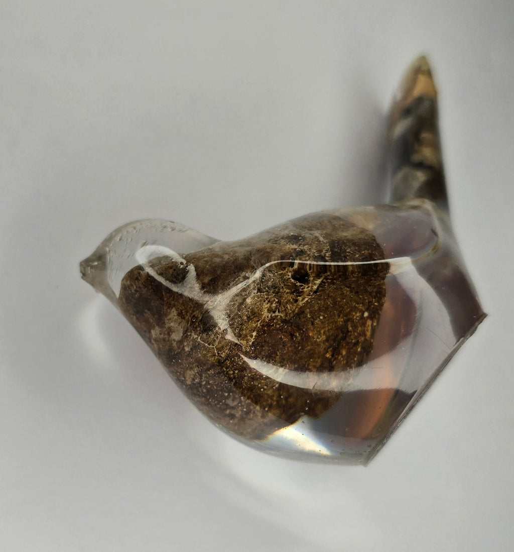 Bird with stones
