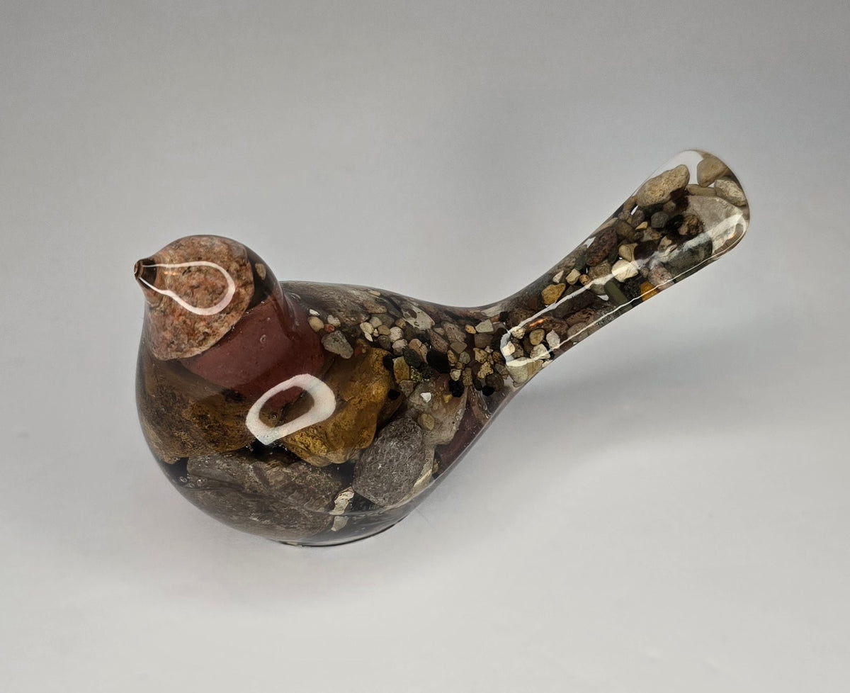 Rock collection bird