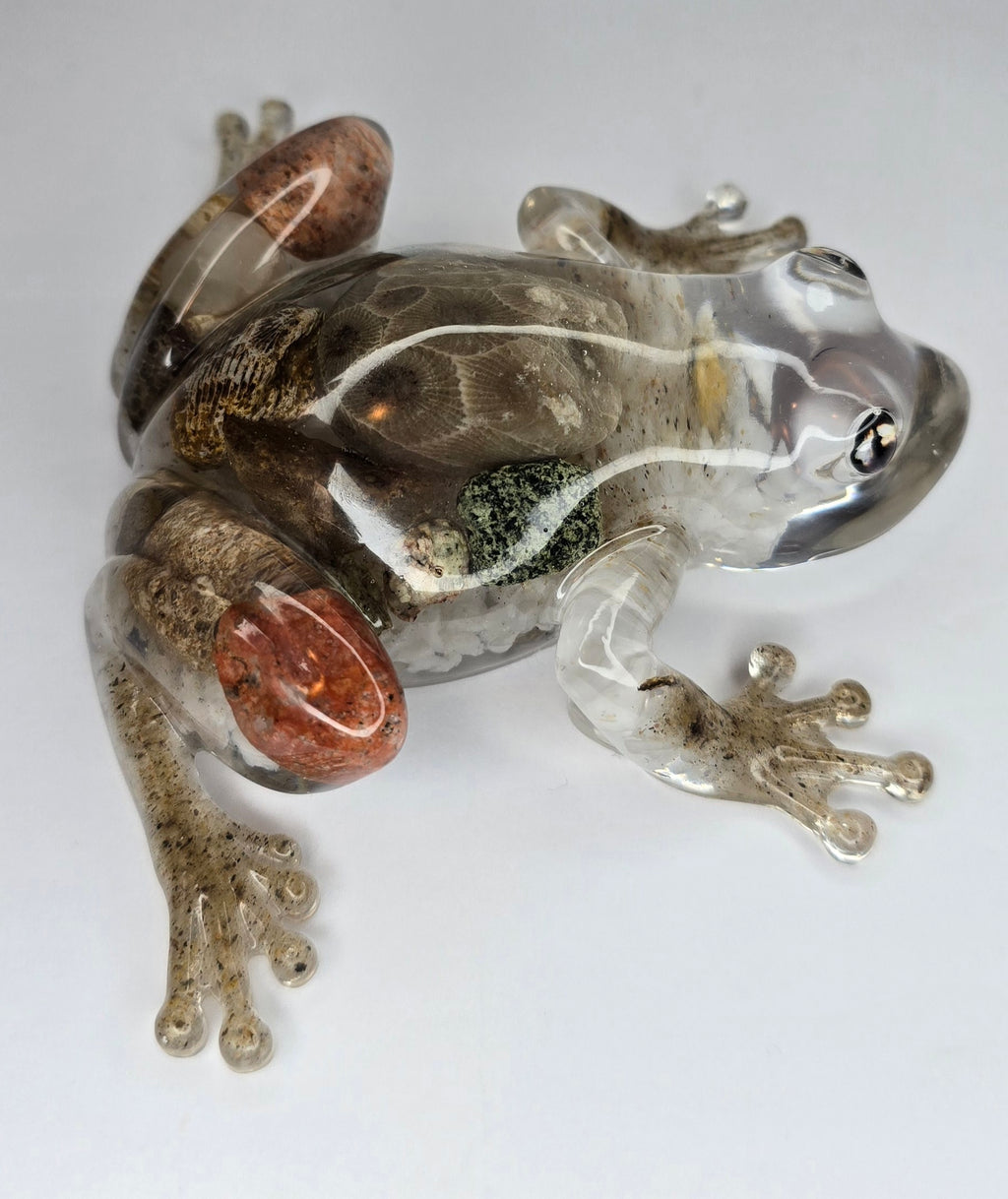 Rock collection frog