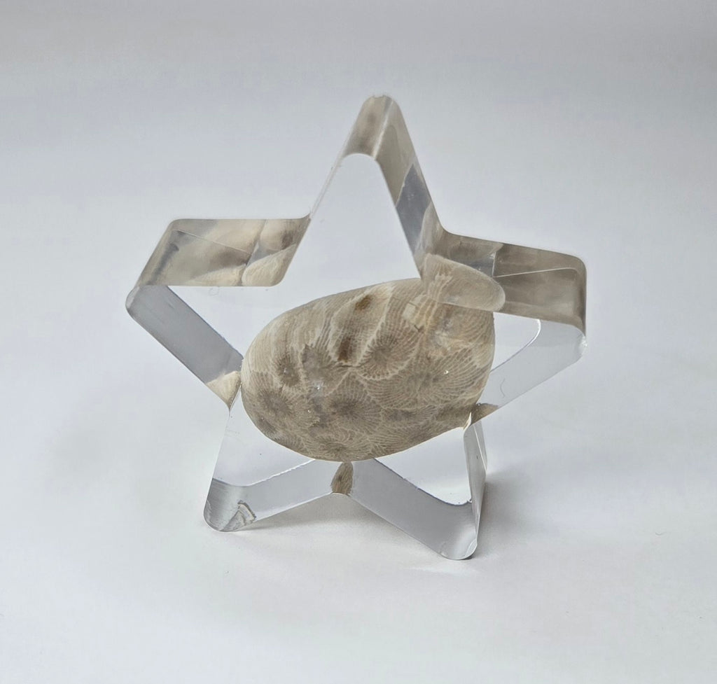Small Petoskey stone star