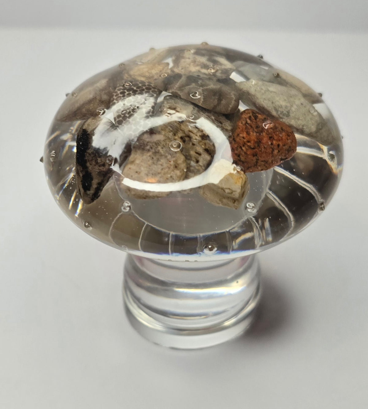 Tall rock collection mushroom