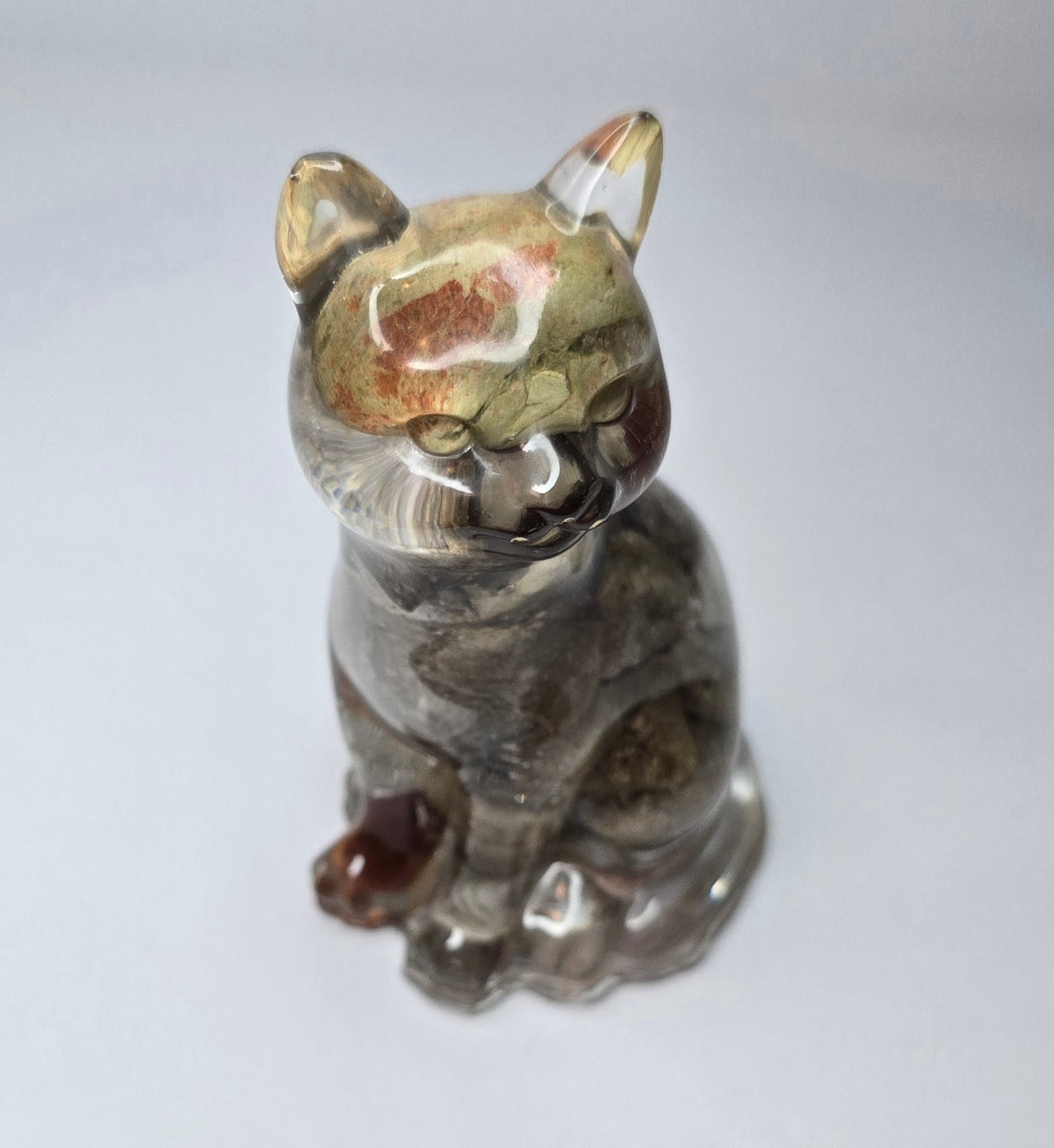 Rock collection cat