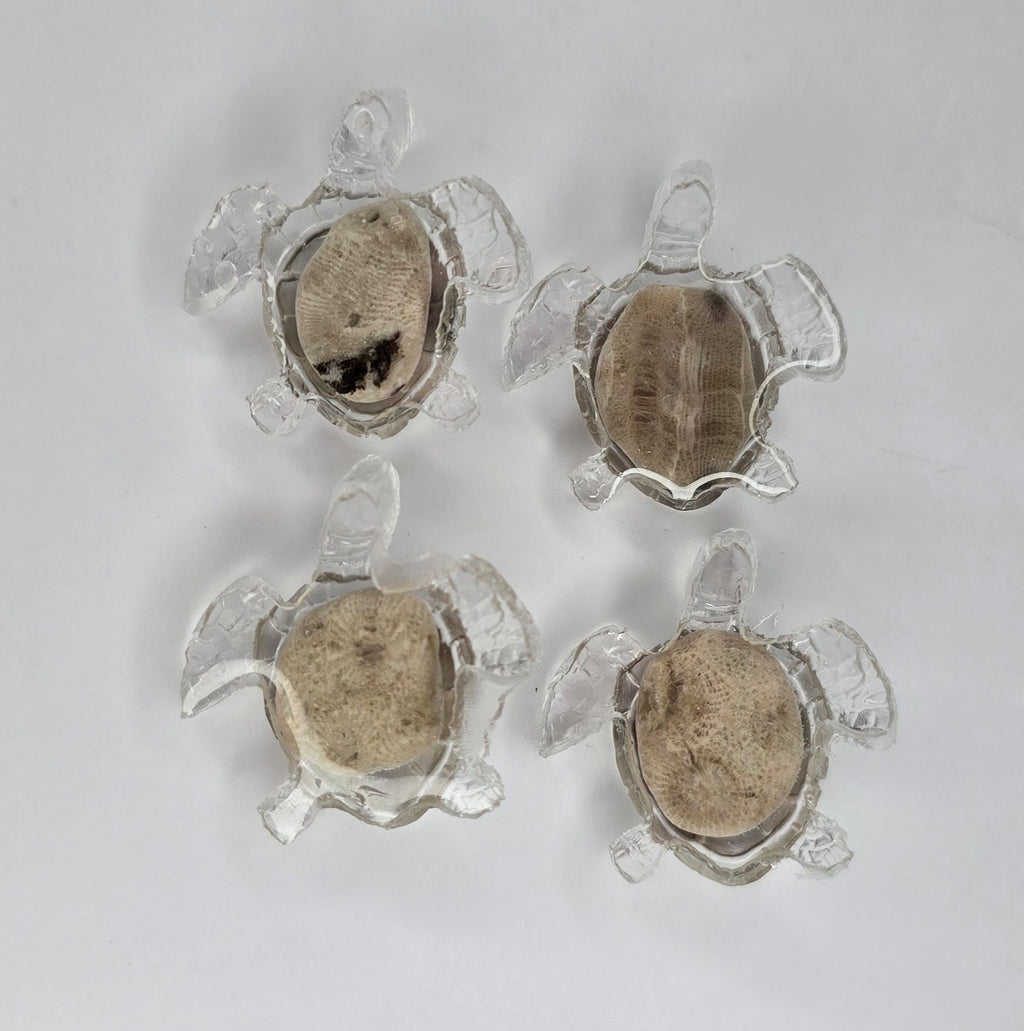 4 tiny Petoskey stone sea turtles