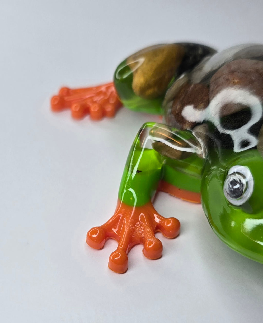 Rock collection Tree Frog