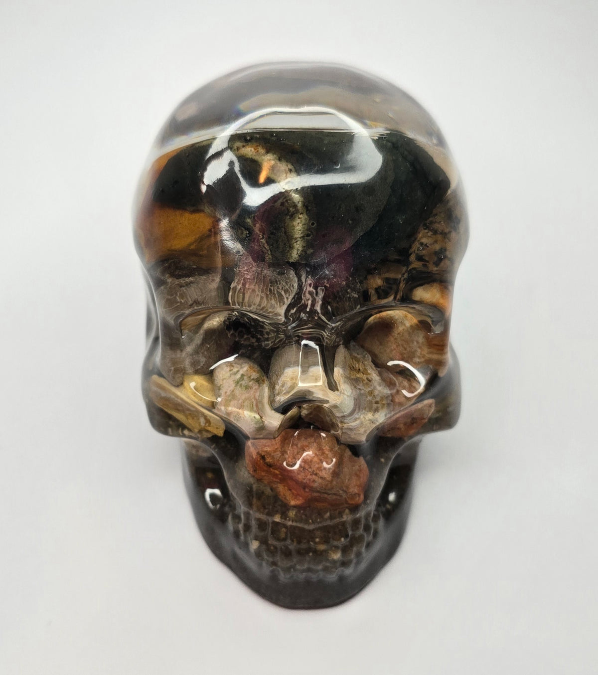 Rock collection skull with pudding stone