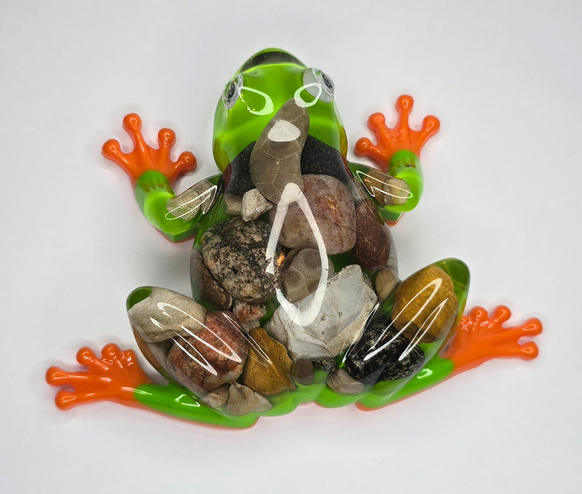 Rock collection Tree Frog
