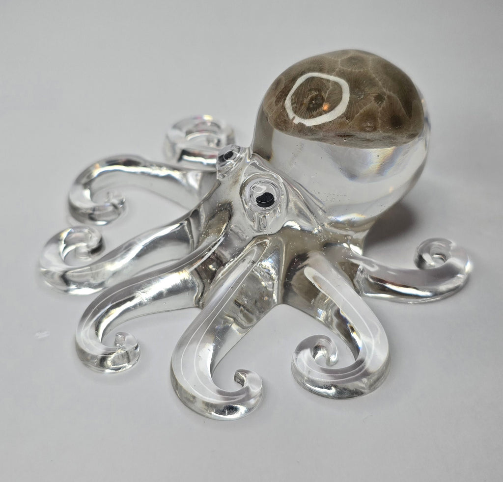Petoskey stone octopus