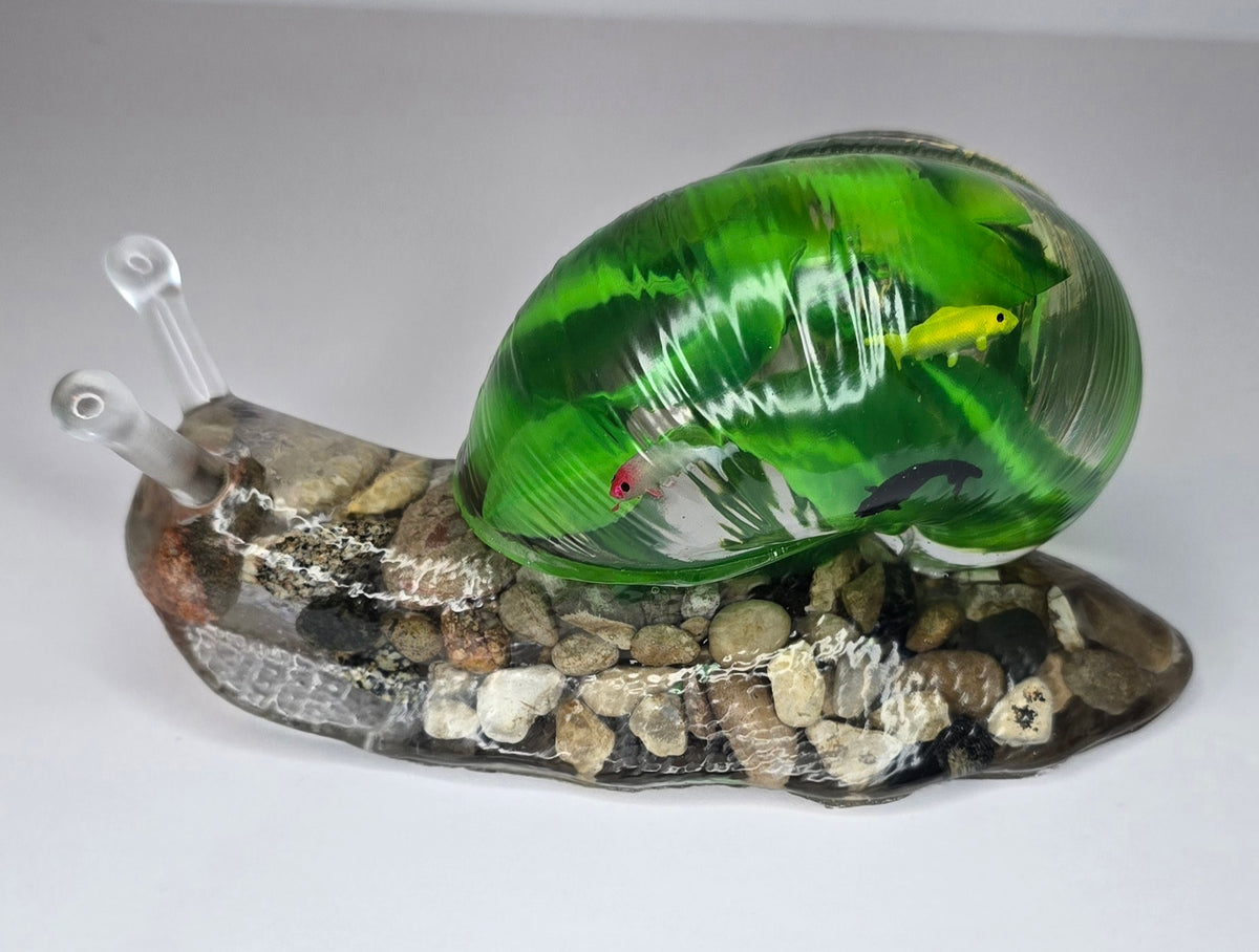 Large fish aquarium SNAIL with Michigan rocks & Petoskey stone