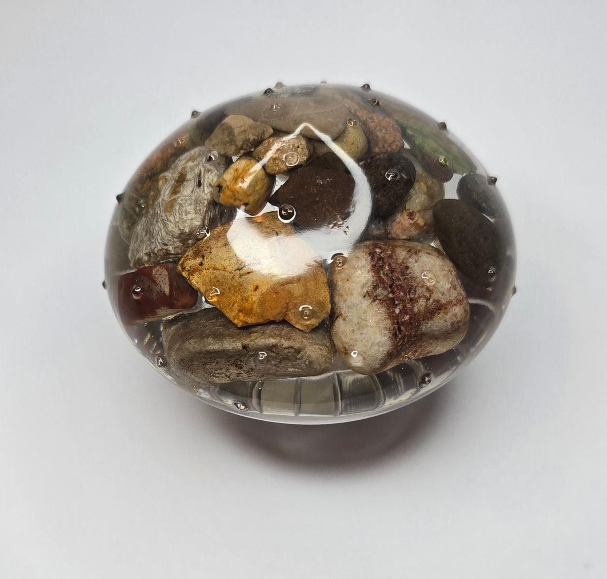 Short rock collection mushroom