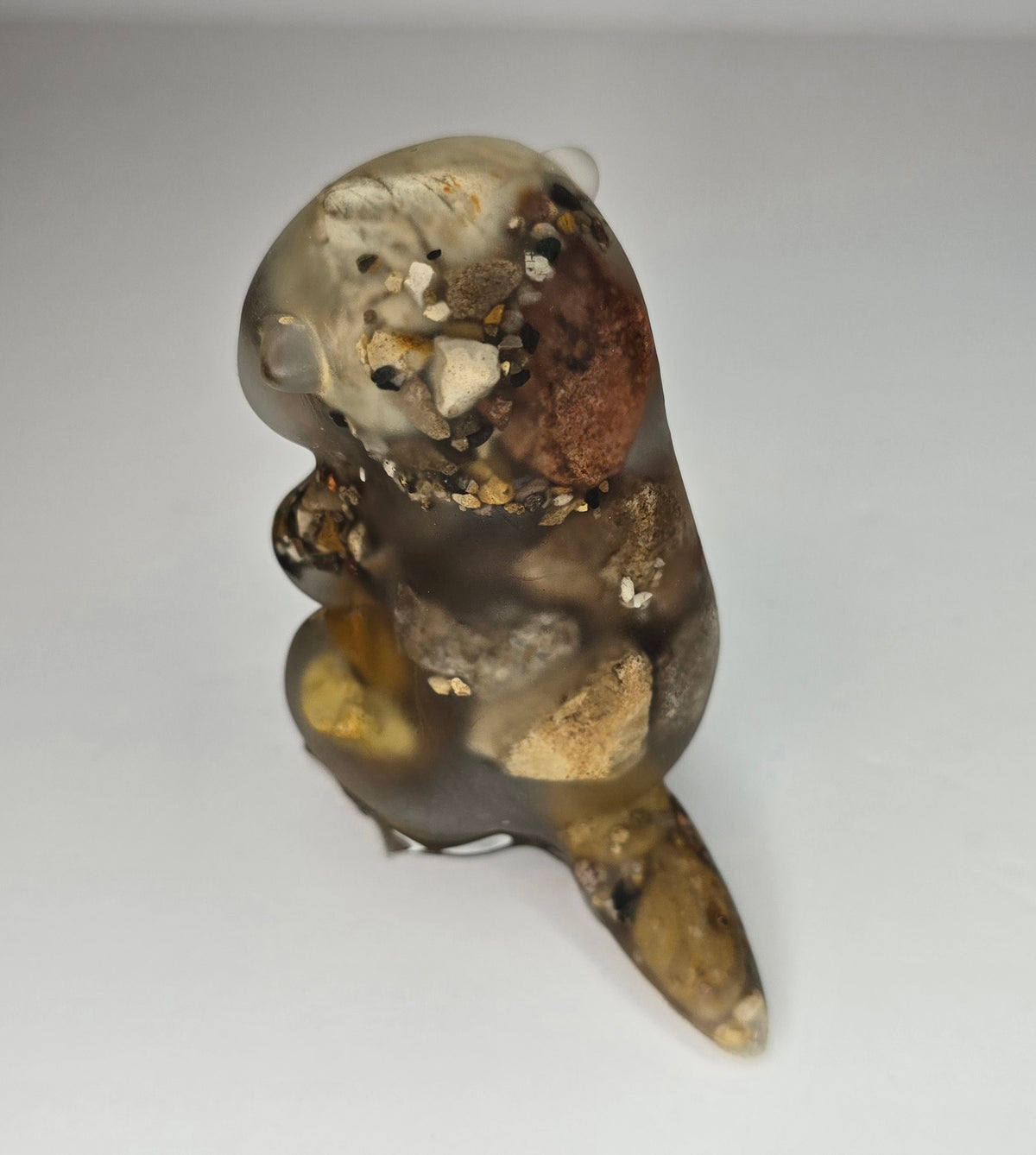 Rock collection otter